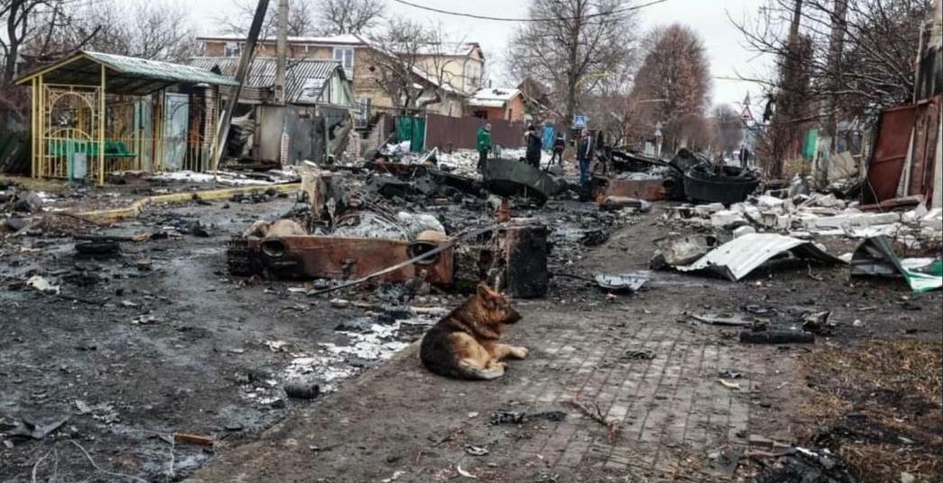 The neighborhood of a Believer located near Kyiv